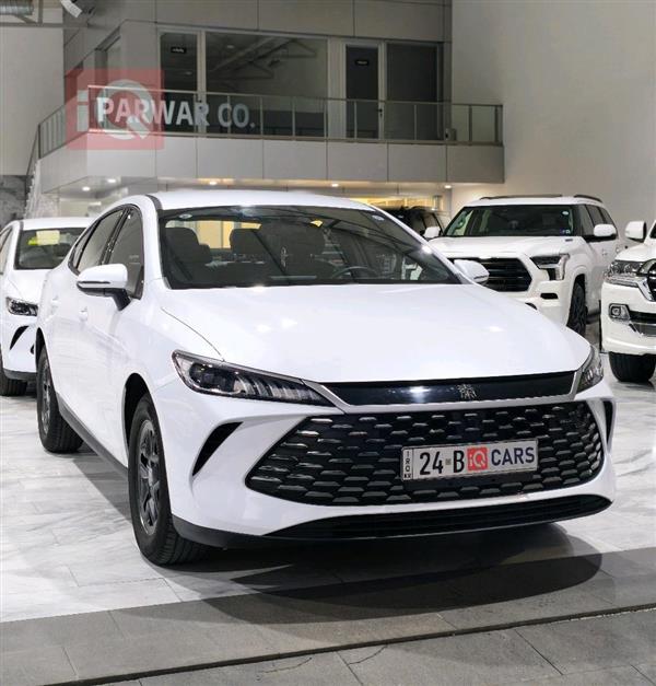 بي واي دي Qin Plus 2025 للبيع في العراق - دهوك